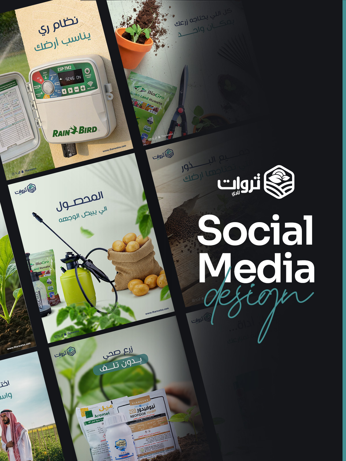 تصاميم السوشيال ميديا